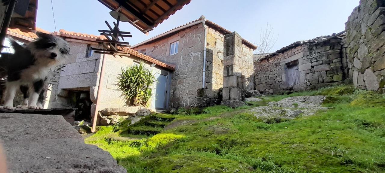 Casa Padre Manuel Do Couto Villa Vila Pouca de Aguiar Eksteriør bilde