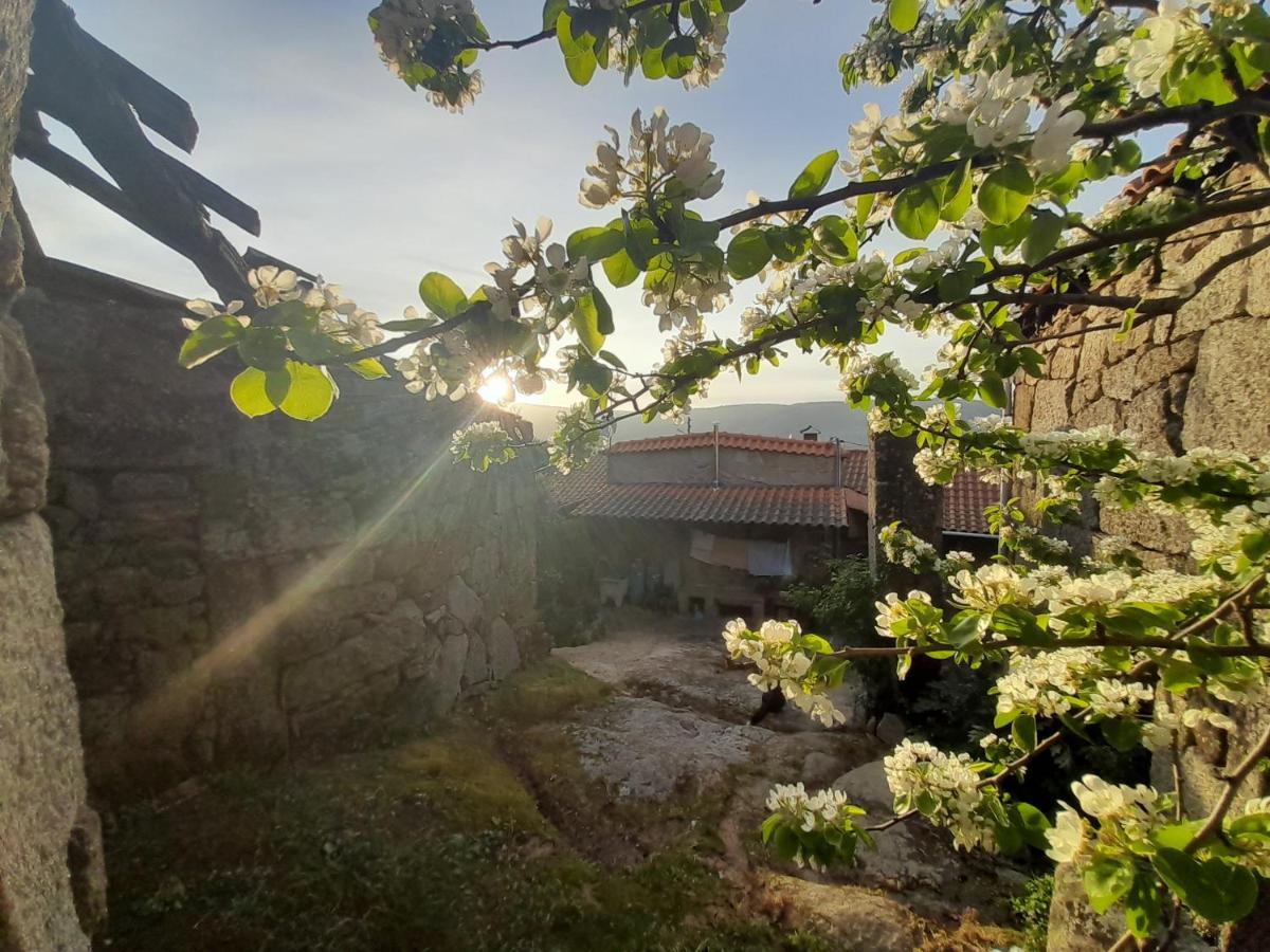 Casa Padre Manuel Do Couto Villa Vila Pouca de Aguiar Eksteriør bilde